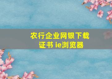 农行企业网银下载证书 ie浏览器